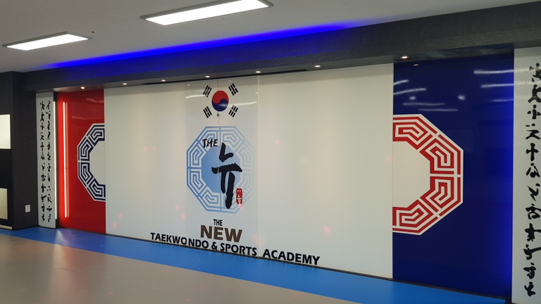 THE NEW태권도